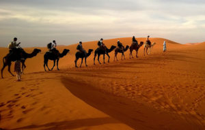 Morocco Desert Experience